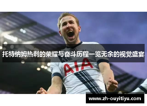 托特纳姆热刺的荣耀与奋斗历程一览无余的视觉盛宴
