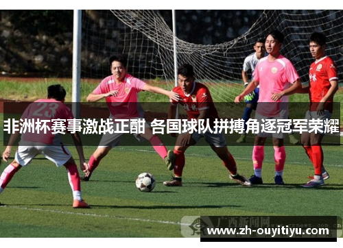 非洲杯赛事激战正酣 各国球队拼搏角逐冠军荣耀
