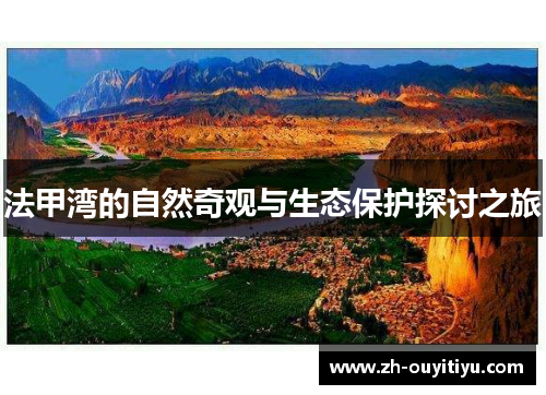 法甲湾的自然奇观与生态保护探讨之旅