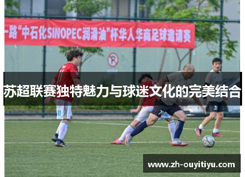 苏超联赛独特魅力与球迷文化的完美结合