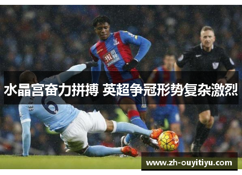 水晶宫奋力拼搏 英超争冠形势复杂激烈